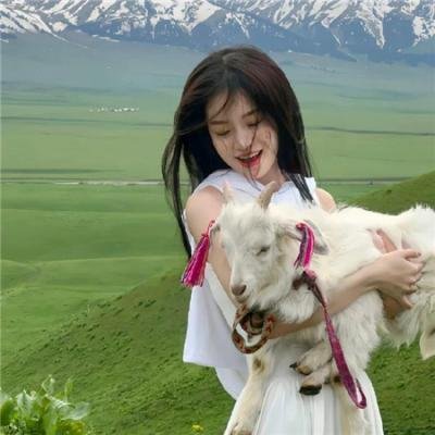 宇宙怪兽加美拉 海报